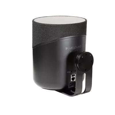 Bluesound WM230 in Geneva | Digistore.ch